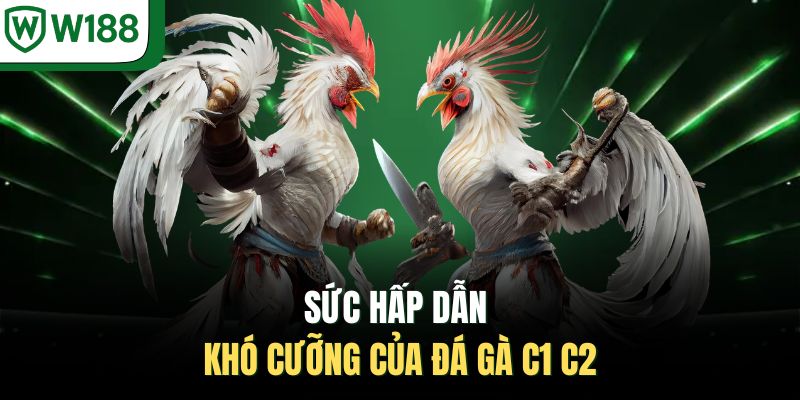 Sức hấp dẫn khó cưỡng của đá gà C1 C2